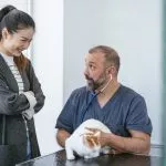 How Does a Vet Lab Diagnose Your Pet Urgently?