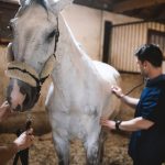 How Can I Find Emergency Vet Care at Night?